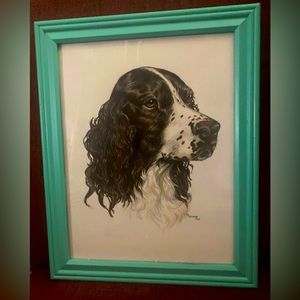Hand Drawn Springer Spaniel